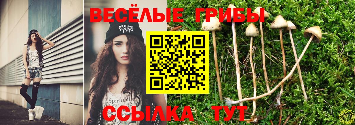 Котовск  Псилоцибиновые грибы ЛСД  Вход с VPN 