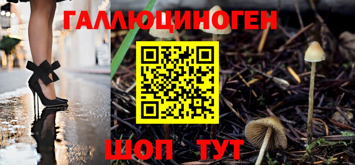 Псилоцибиновые грибы MAGIC MUSHROOMS Котовск